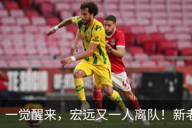 一觉醒来，宏远又一人离队！新老总杀伐果断，徐杰深夜发声，杜锋爱将被退货
